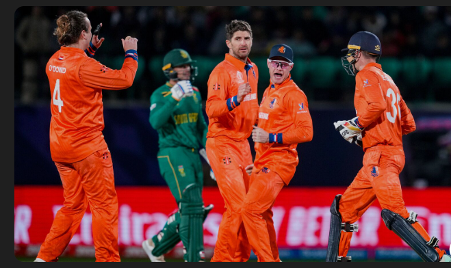 South Africa National Cricket Team Vs Netherlands Cricket Team Match Scorecard